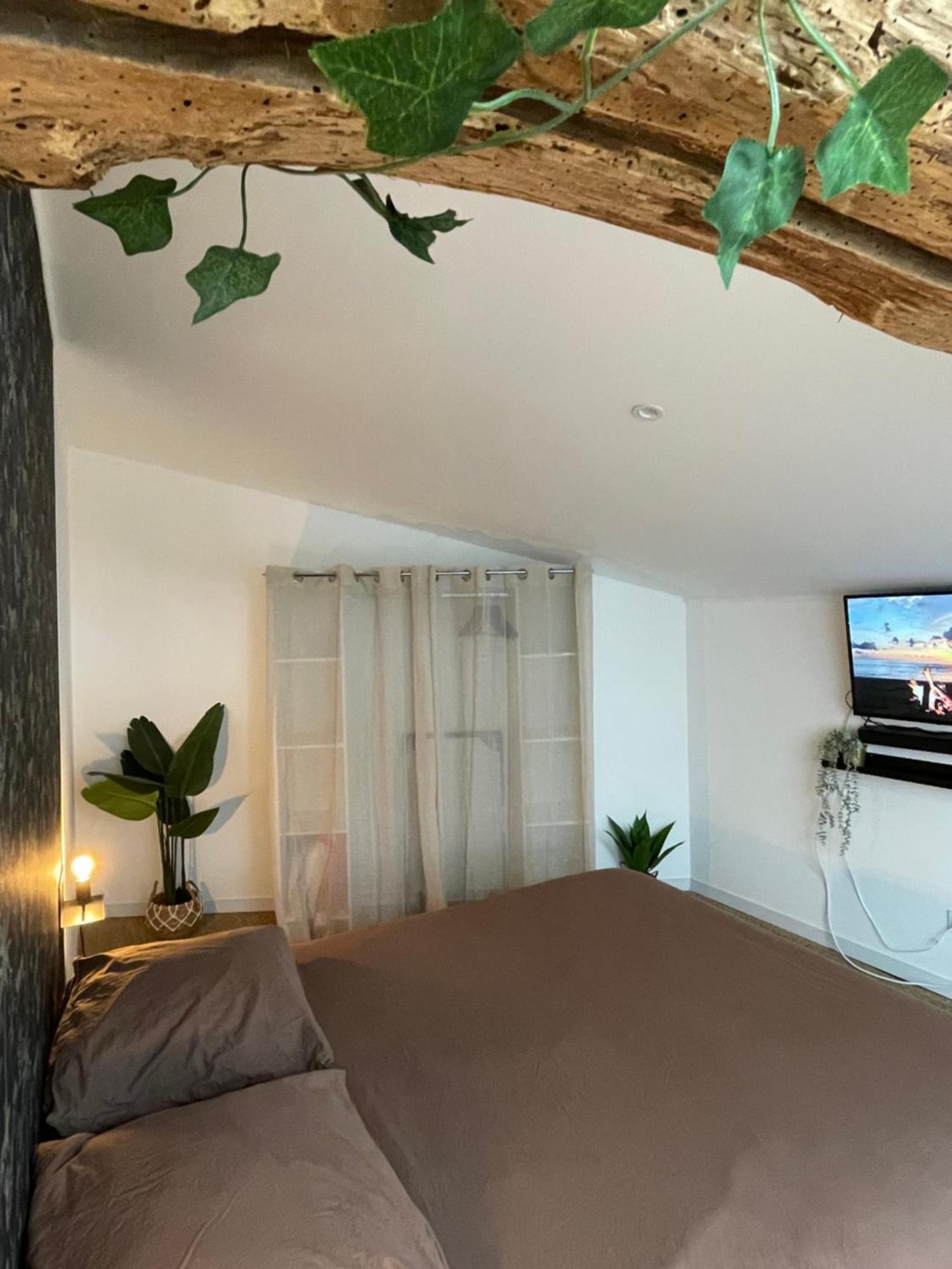 Casa Del Jaguar Villa Gorges  Ngoại thất bức ảnh